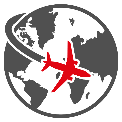 TCS Int Delivery Icon